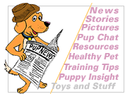 Pup News